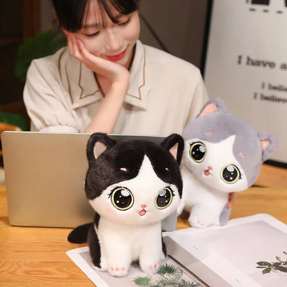 Big-Eyed Cute Kitten Plush